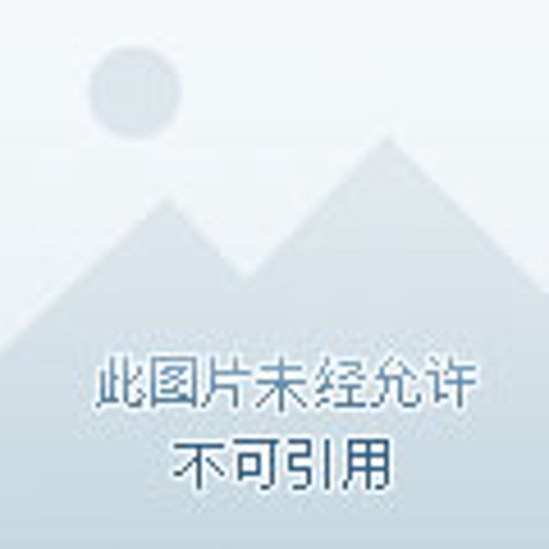 技术咨询服务合同：未来趋势解析